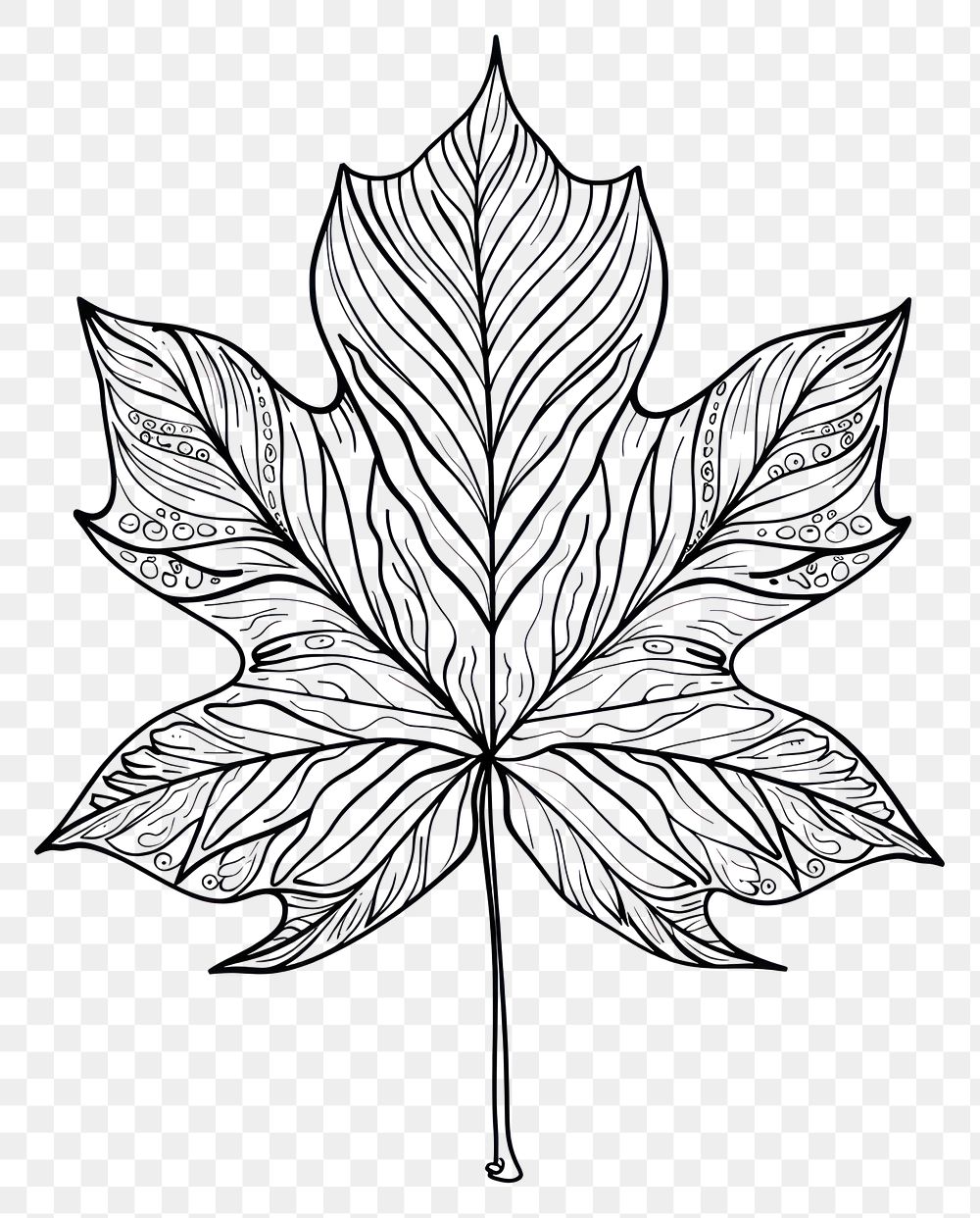 PNG Leaf sketch art illustrated.