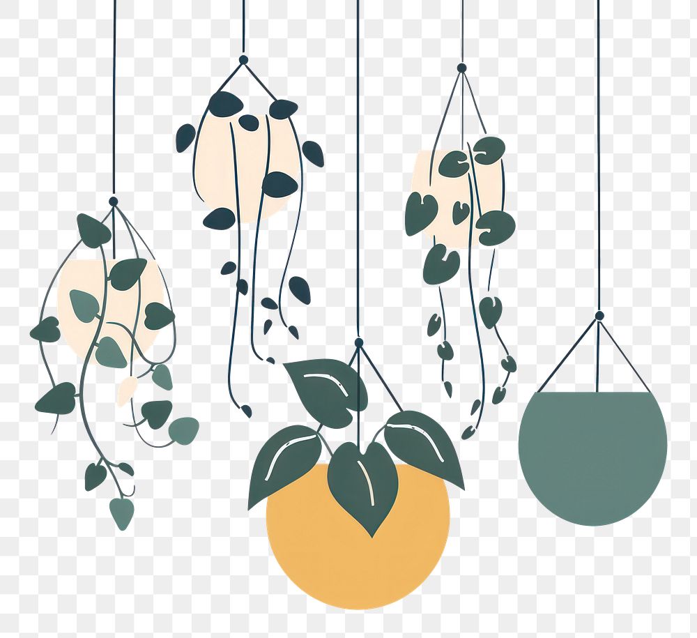 PNG Indoor hanging plant flat illustration art chandelier produce.
