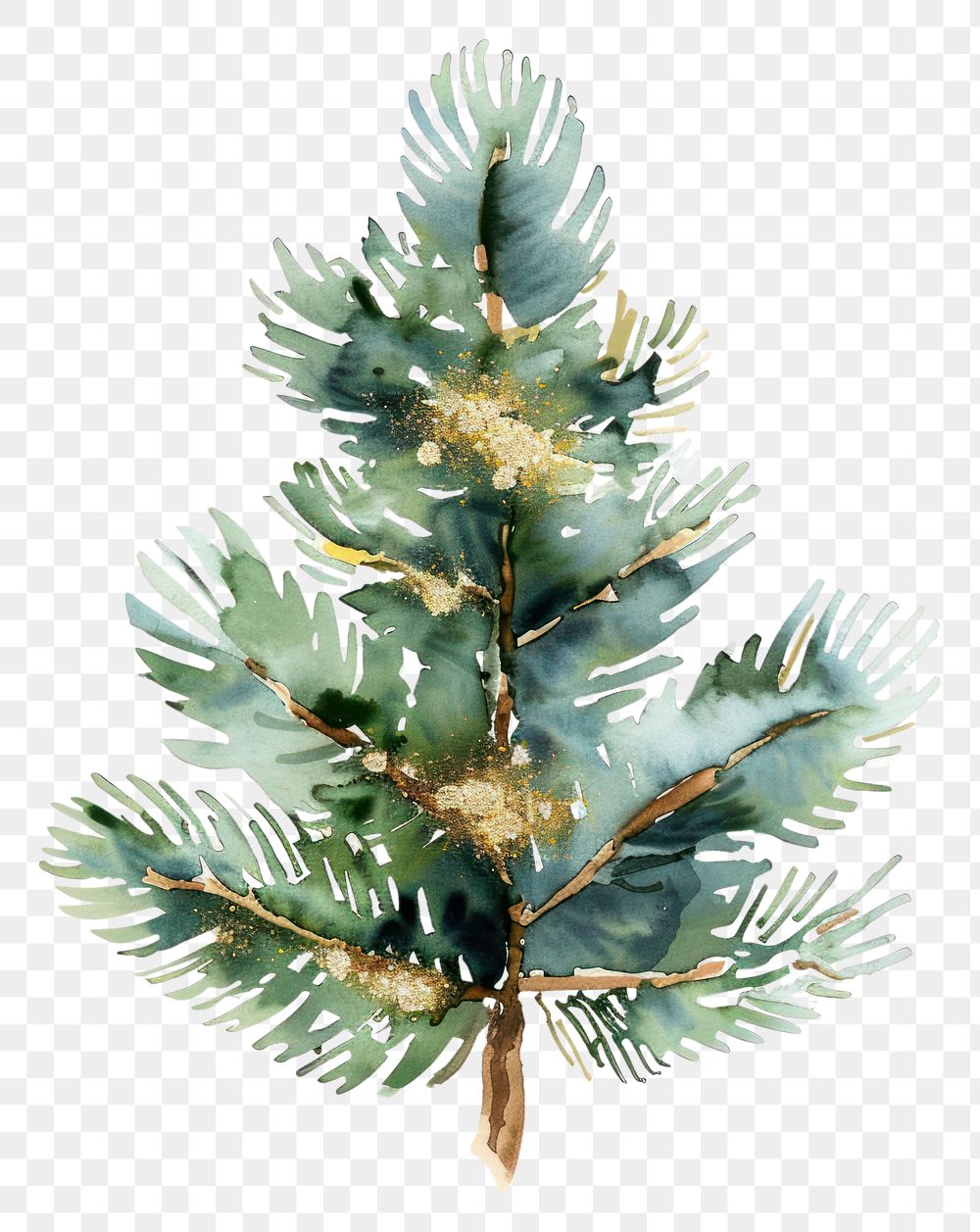 PNG Pine christmas festival conifer.