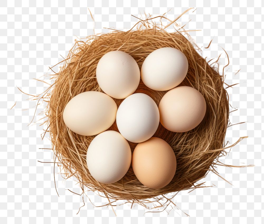 PNG  Eggs in straw person human food