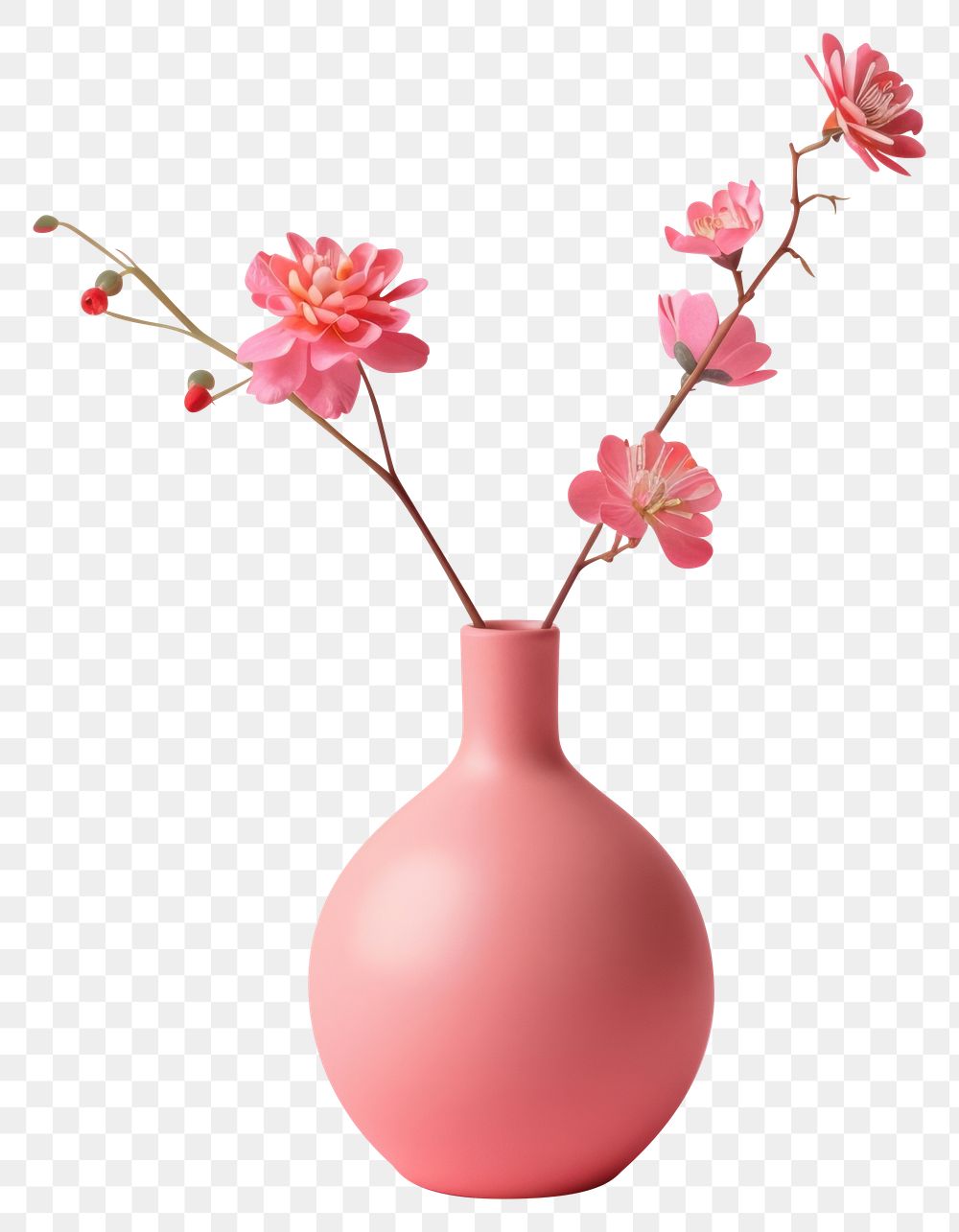 PNG Minimal vase decoration flower plant.