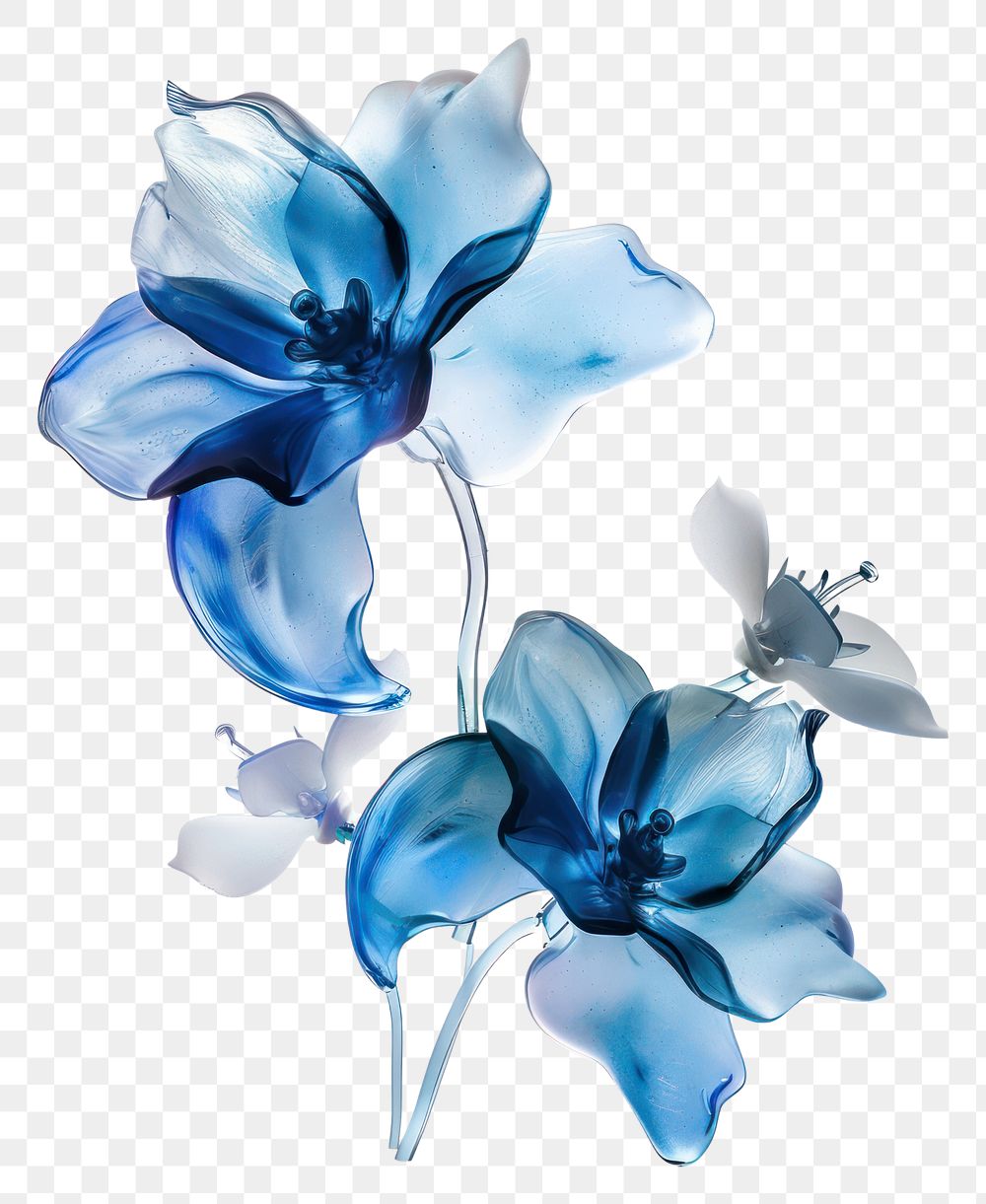 PNG Dolphin epoxy resin flower petal plant