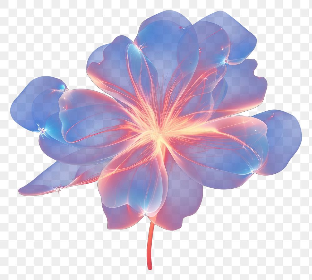 PNG Abstract background flower light illuminated.