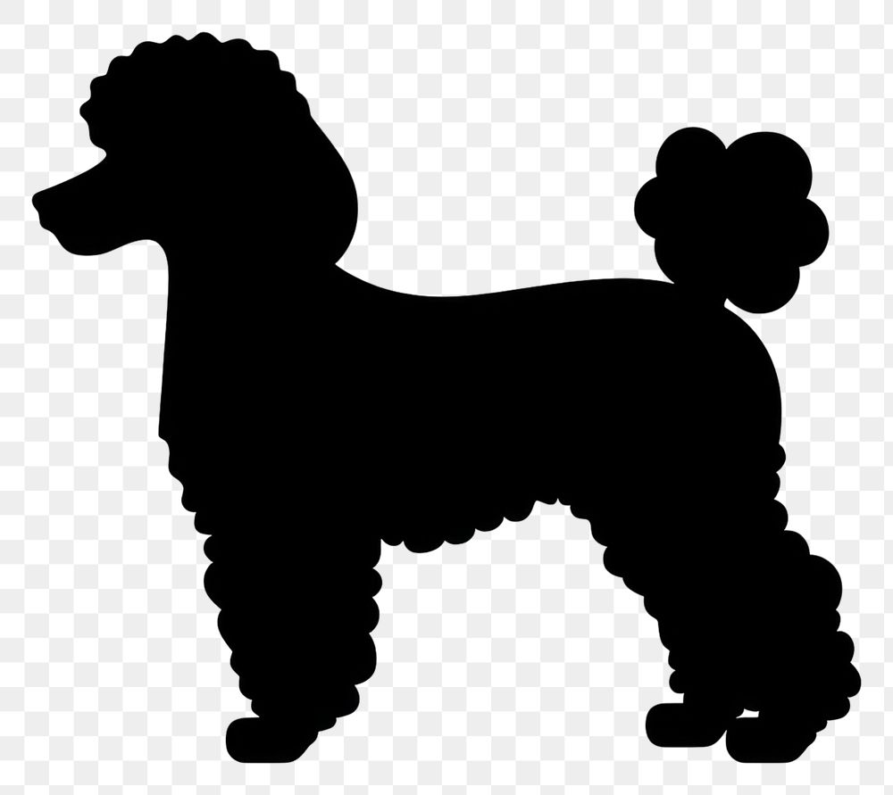 PNG Poodle silhouette clip art poodle mammal animal.