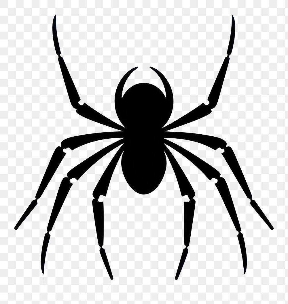 PNG Spider silhouette clip art arachnid animal white background.