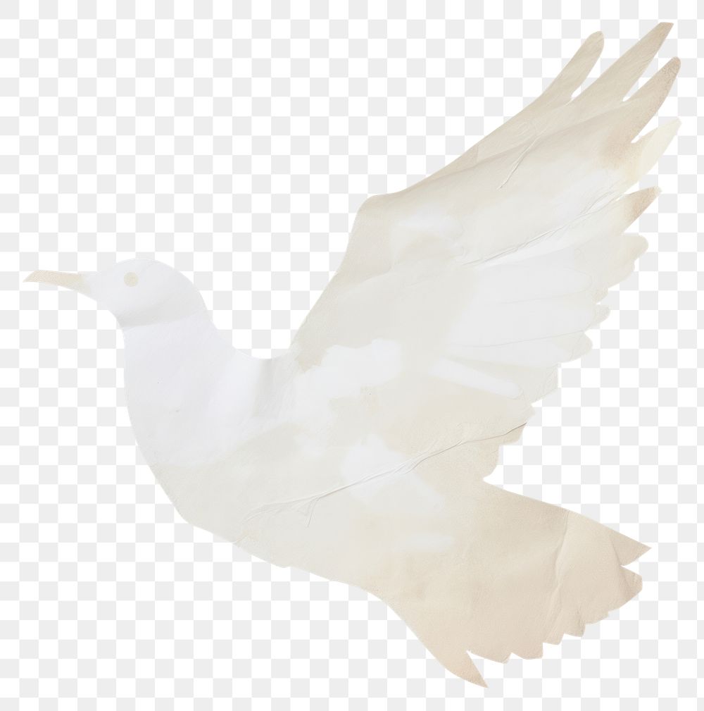 PNG Dove shape ripped paper animal white bird