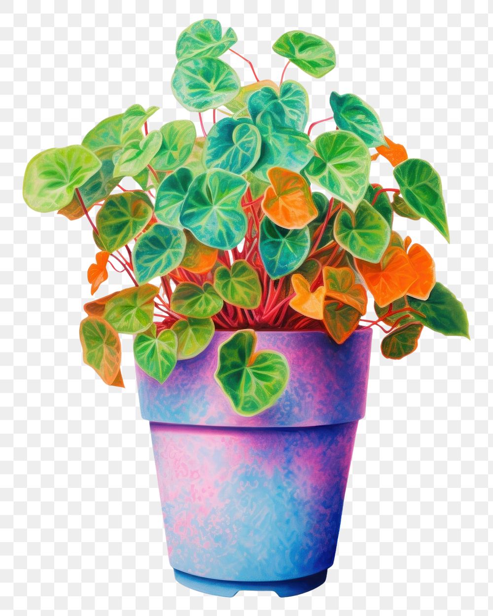 PNG  Ivy in plant pot leaf white background houseplant.