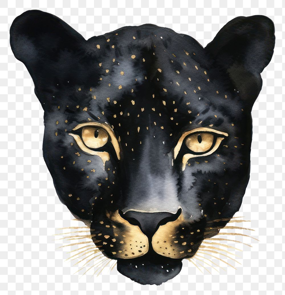 PNG Black leopard wildlife animal mammal.