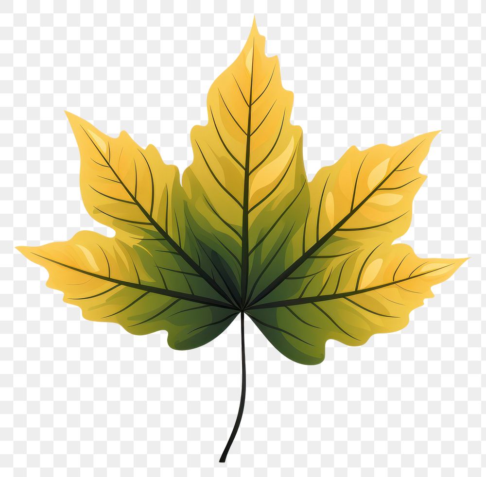 PNG Leaf plant tree creativity.