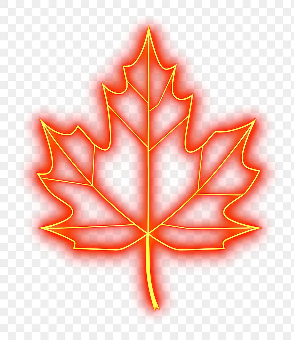 PNG Maple leaf icon outdoors light night.