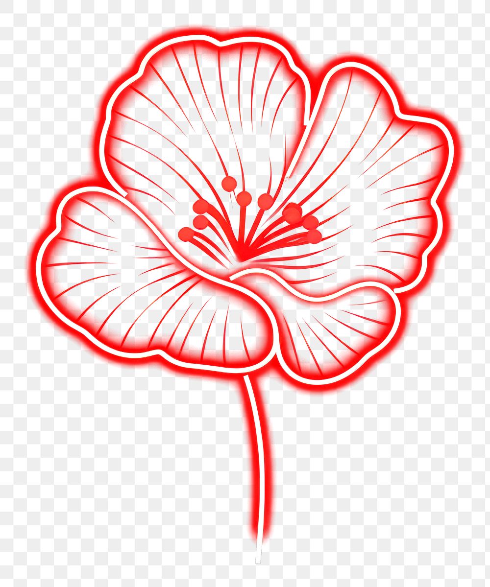 PNG Poppy icon nature flower night