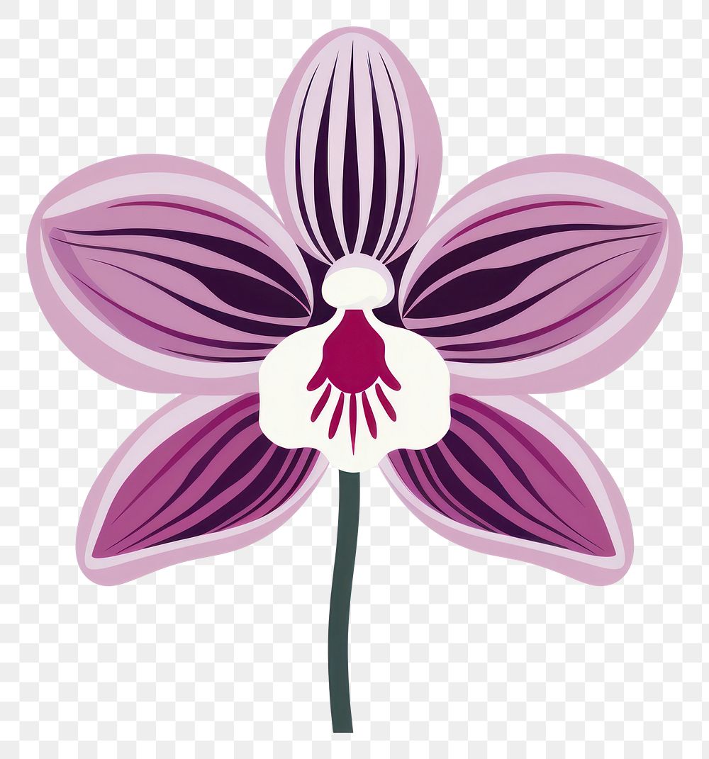 PNG  Vector orchid impressionism appliance blossom flower.