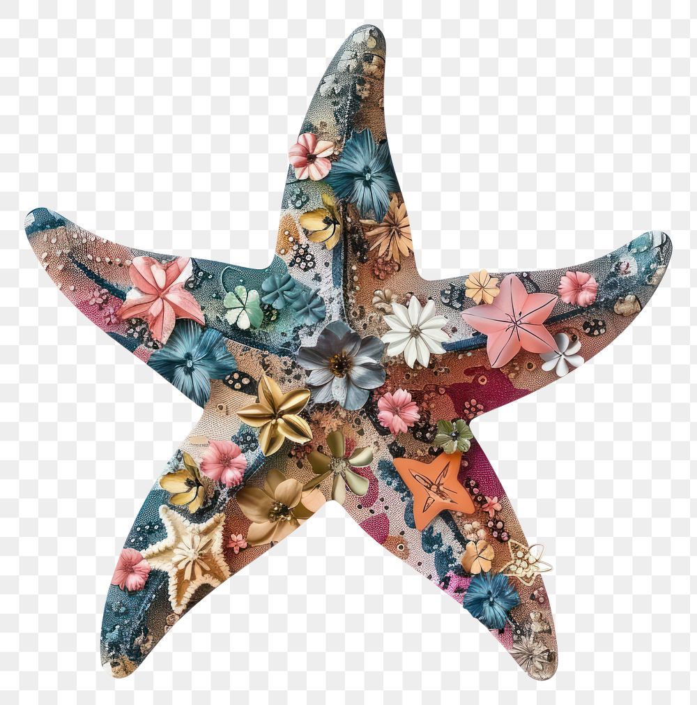 PNG  Flower Collage Starfish starfish invertebrate animal.