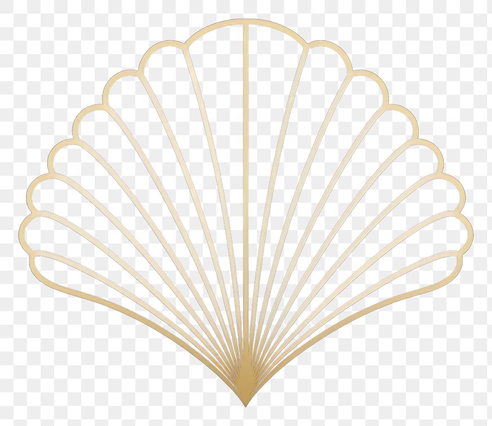 PNG  Shell divider ornament invertebrate seashell animal.