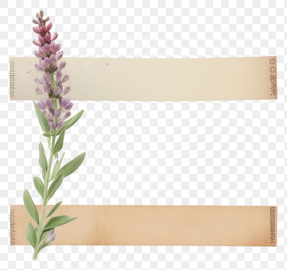 PNG  Lupine ephemera letterbox blossom mailbox.