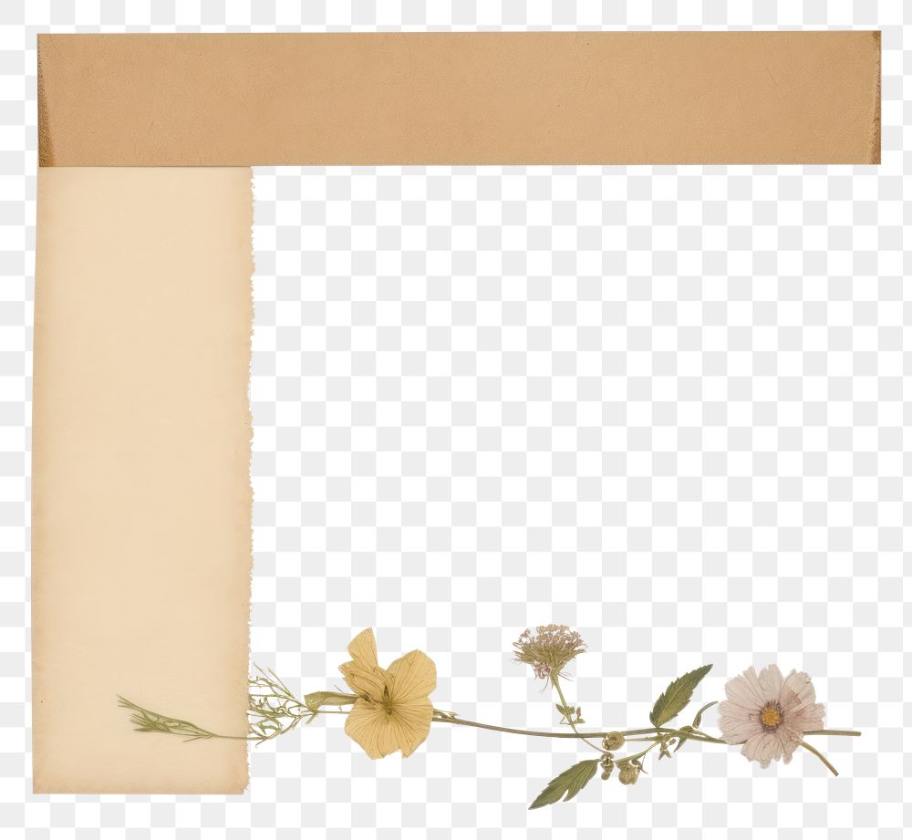 PNG  Dry flowers ephemera letterbox document mailbox.