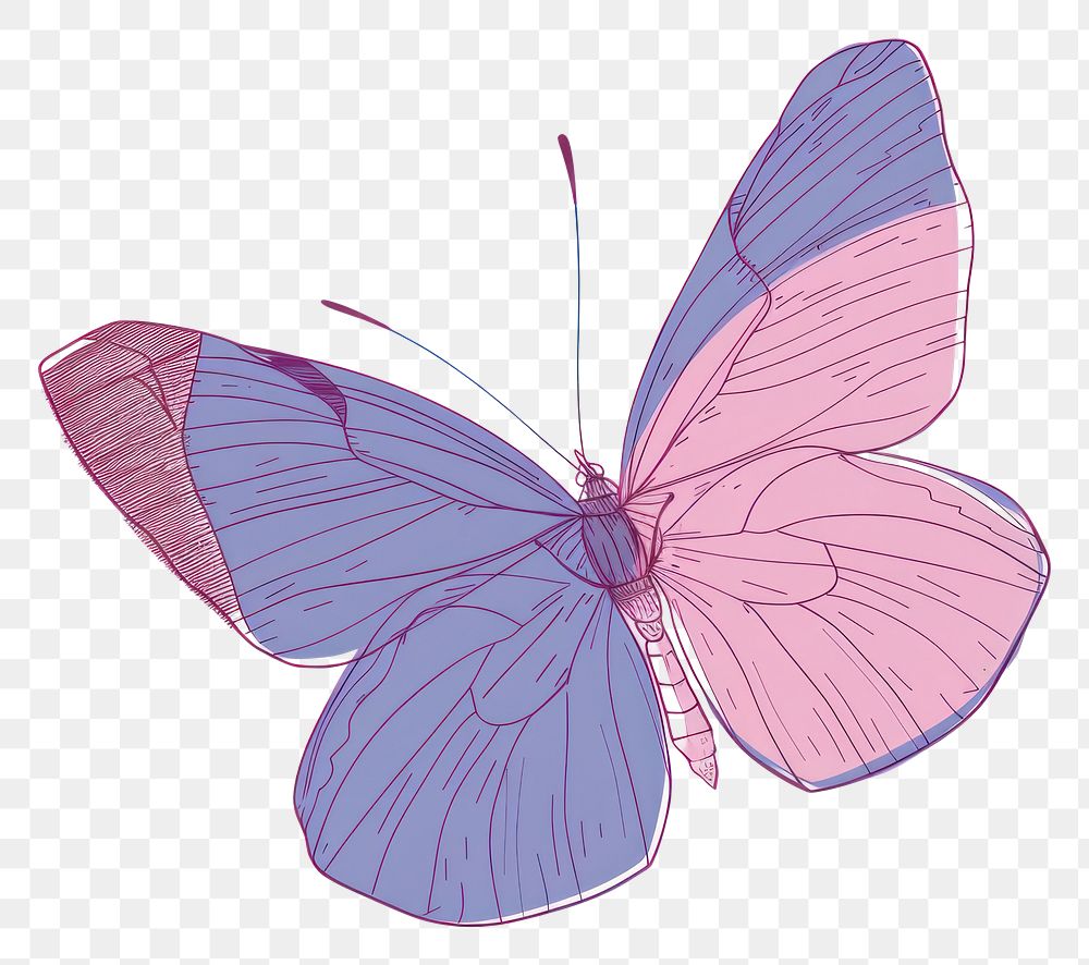 PNG  Retro butterfly illustrated appliance drawing.