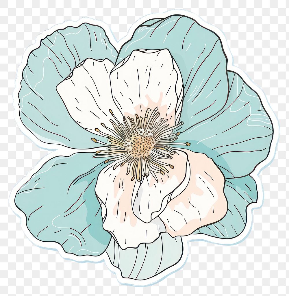 PNG  Screen printing sticker flower illustrated anemone blossom.
