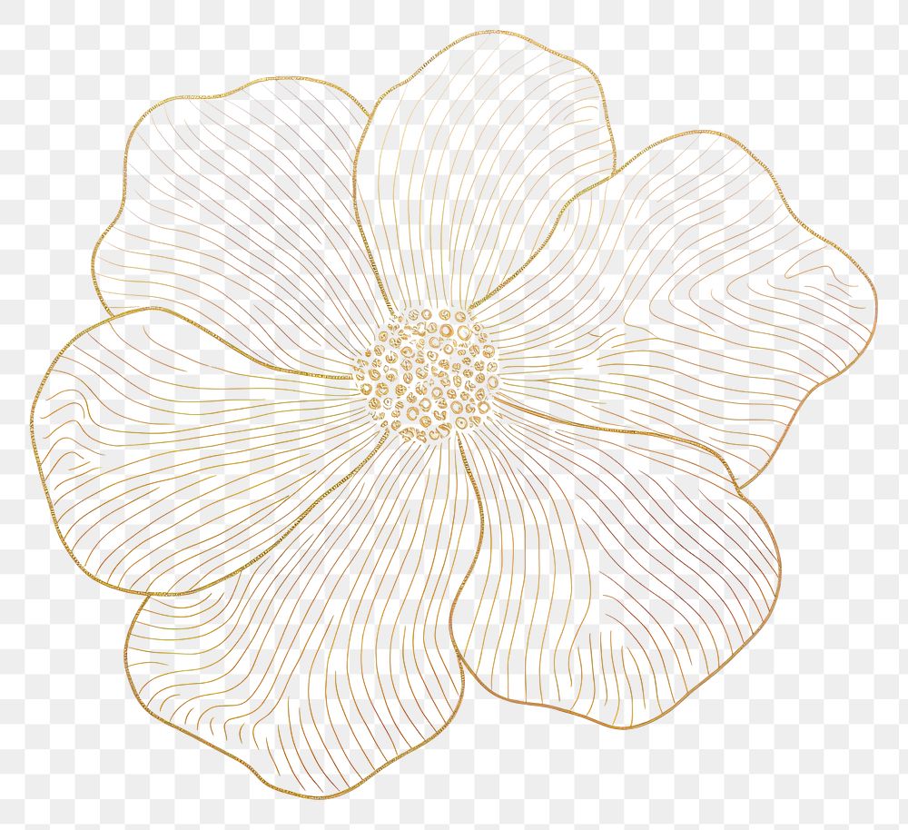 PNG Gold glitter single line flower accessories illustrated annonaceae.