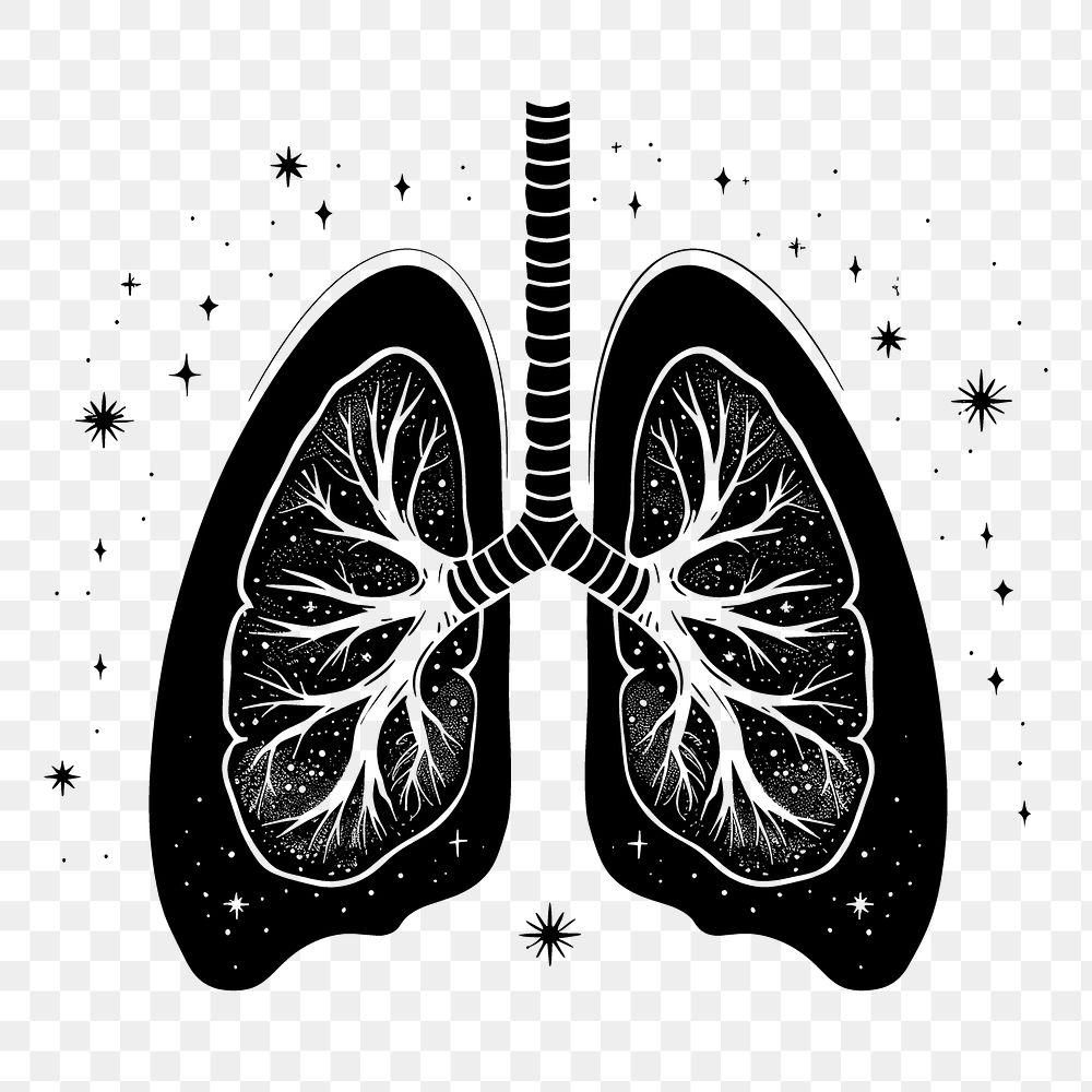 PNG Surreal aesthetic lungs logo art illustrated drawing.