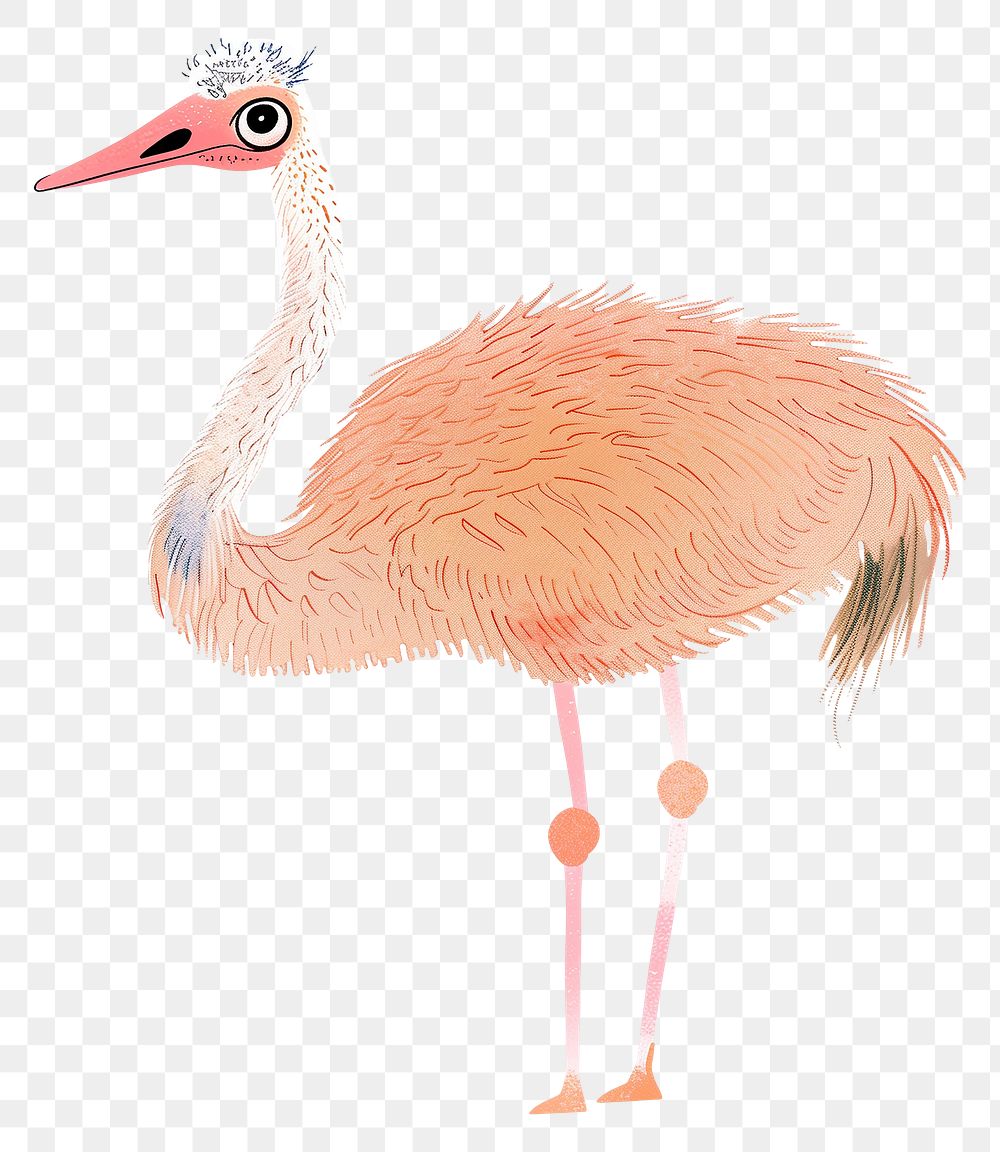 Ostrich png wild animal digital art, transparent background