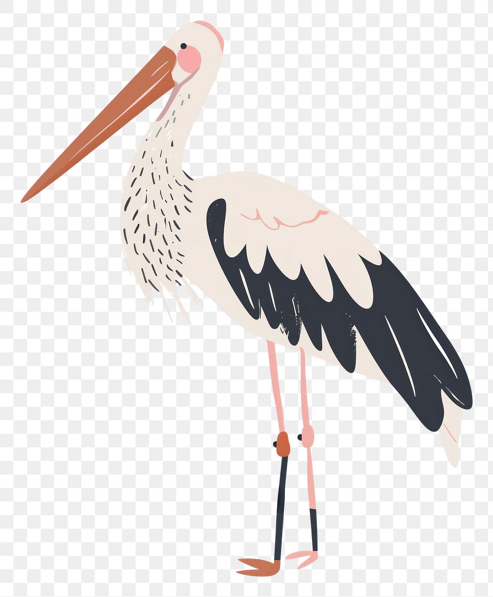 PNG Cute stork illustration animal waterfowl bird.