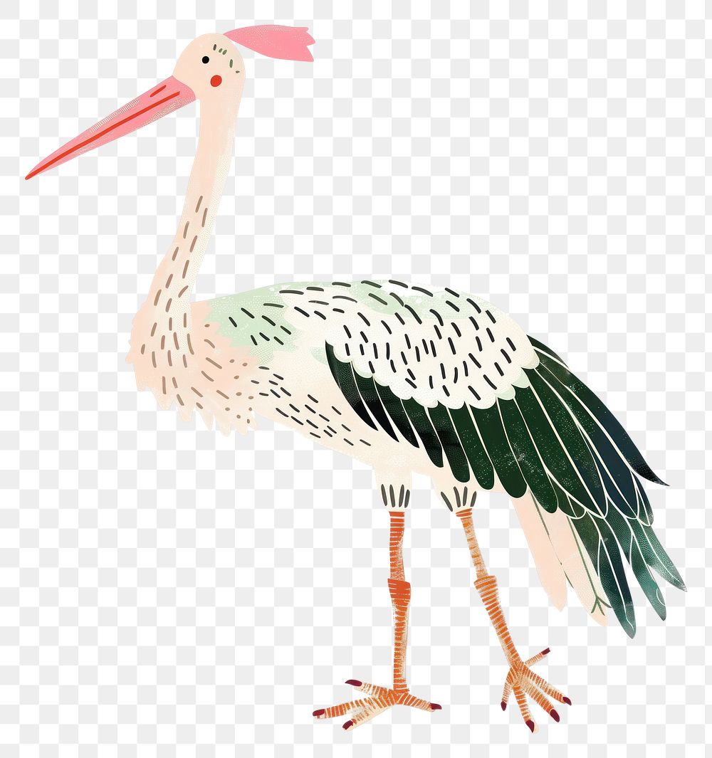 PNG Cute stork illustration animal waterfowl bird.