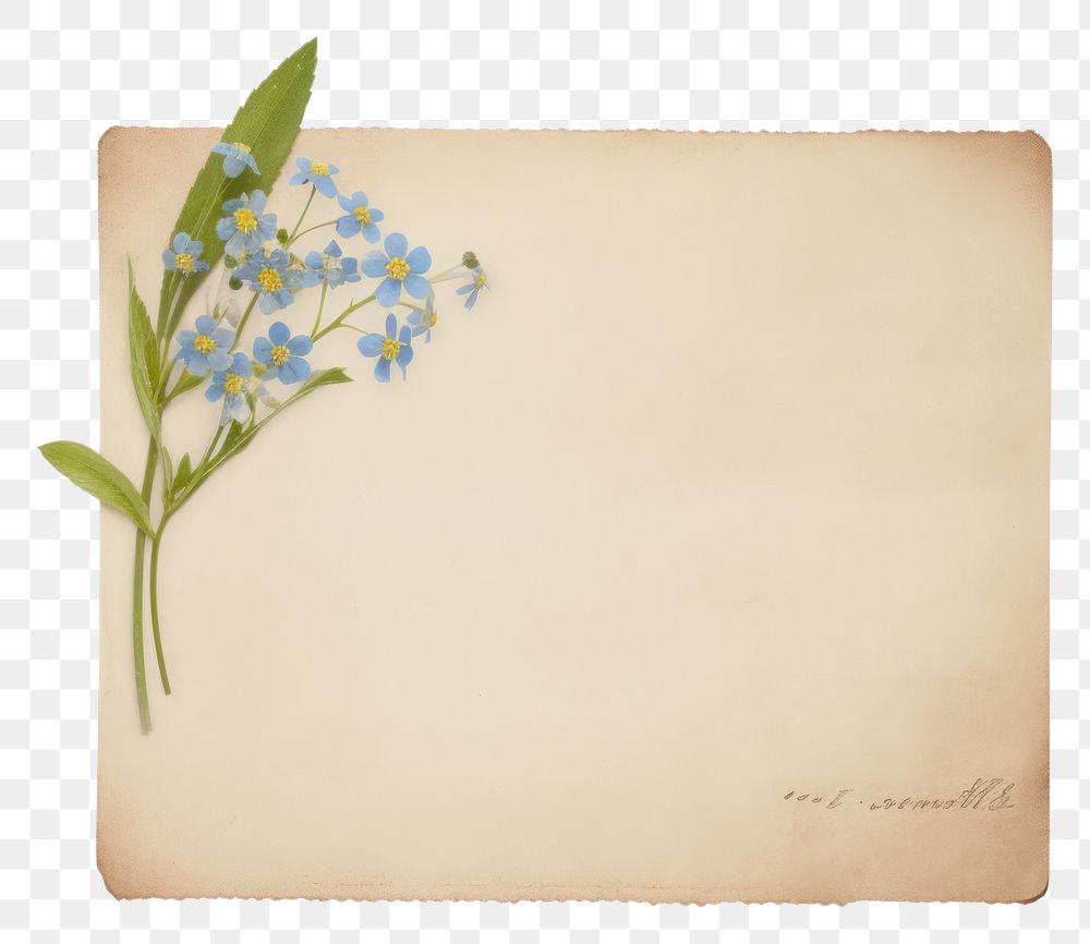 PNG  Forget me not ephemera envelope painting blossom.