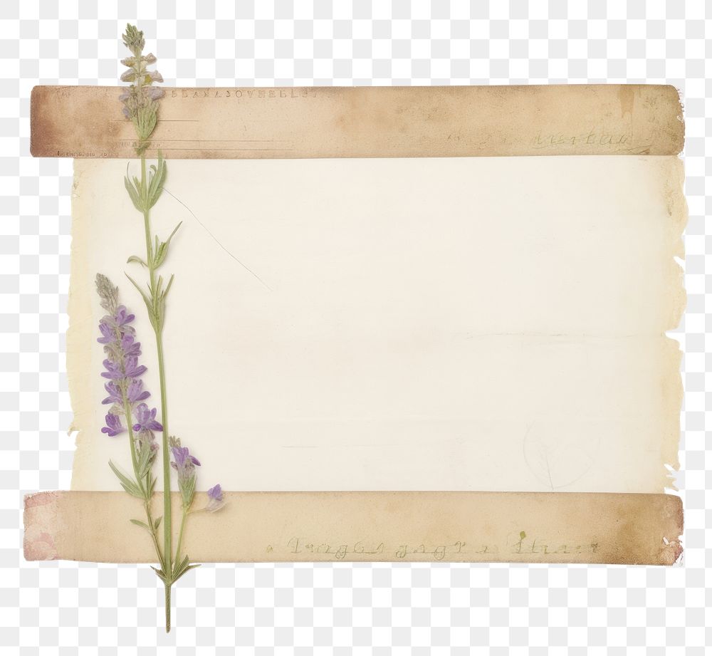 PNG  Larkspur ephemera letterbox lavender mailbox.