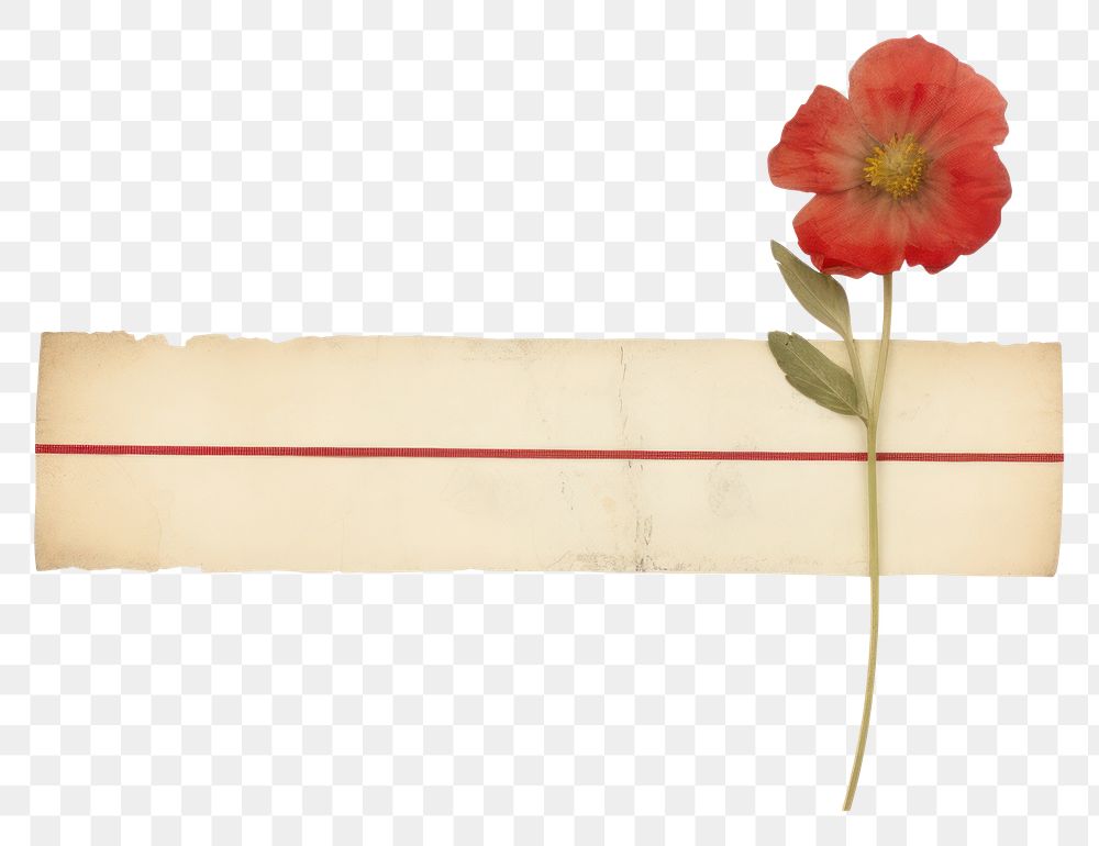 PNG  Red flower ephemera document blossom plant.