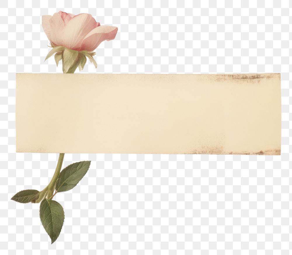 PNG  Rose of sharon ephemera letterbox blossom mailbox.