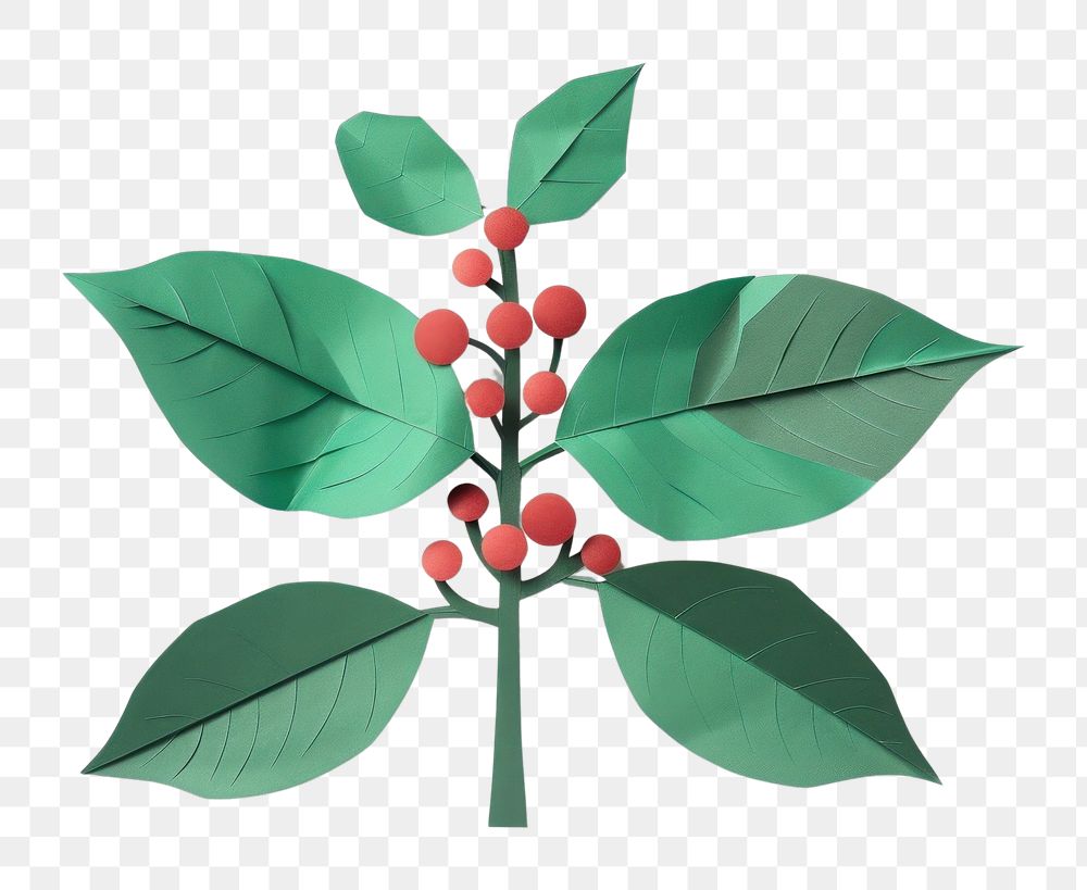 PNG Coffee plant annonaceae appliance produce.