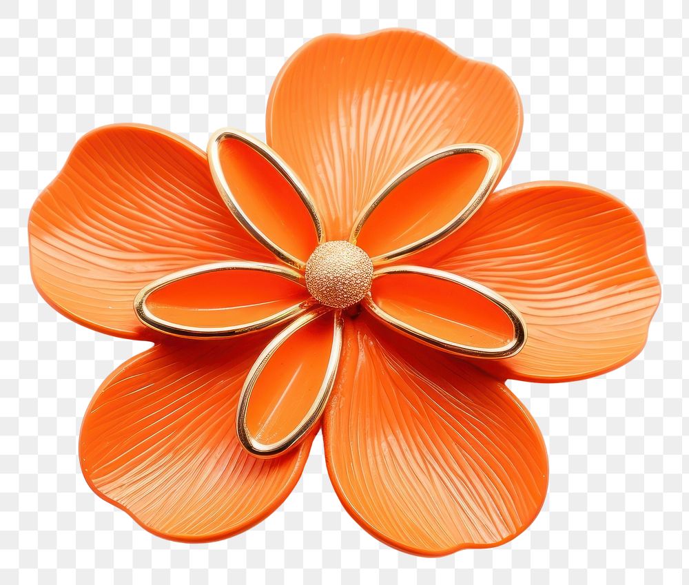 PNG Brooch of Orange accessories accessory appliance.