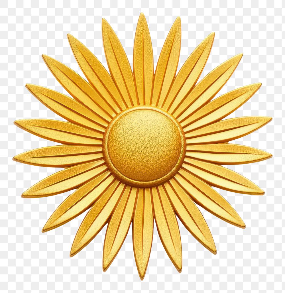 PNG Brooch of sun accessories asteraceae accessory.