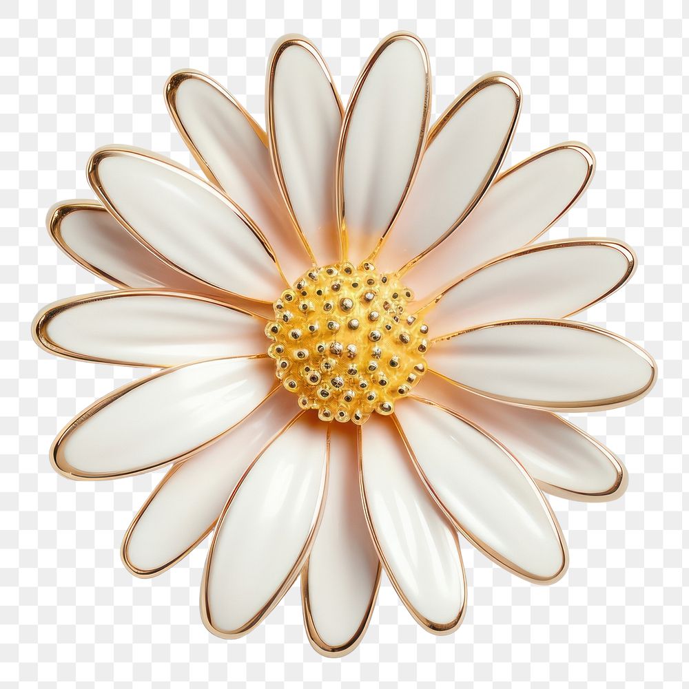 PNG Brooch of daisy accessories asteraceae chandelier
