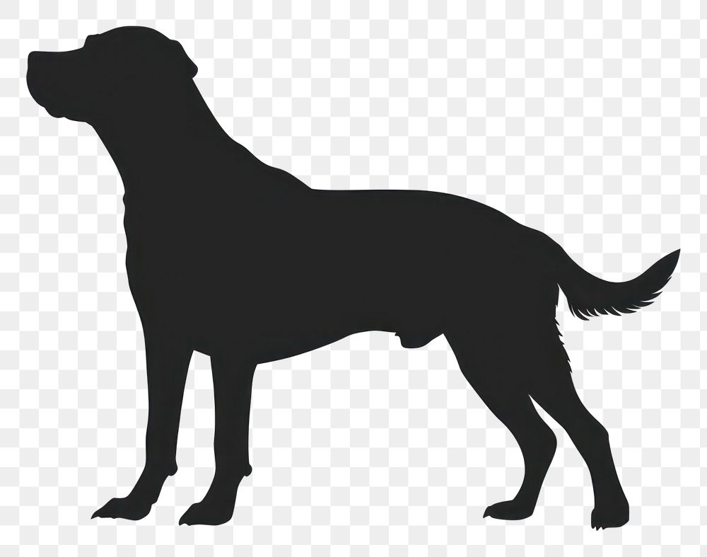 PNG  Dog silhouette animal canine.
