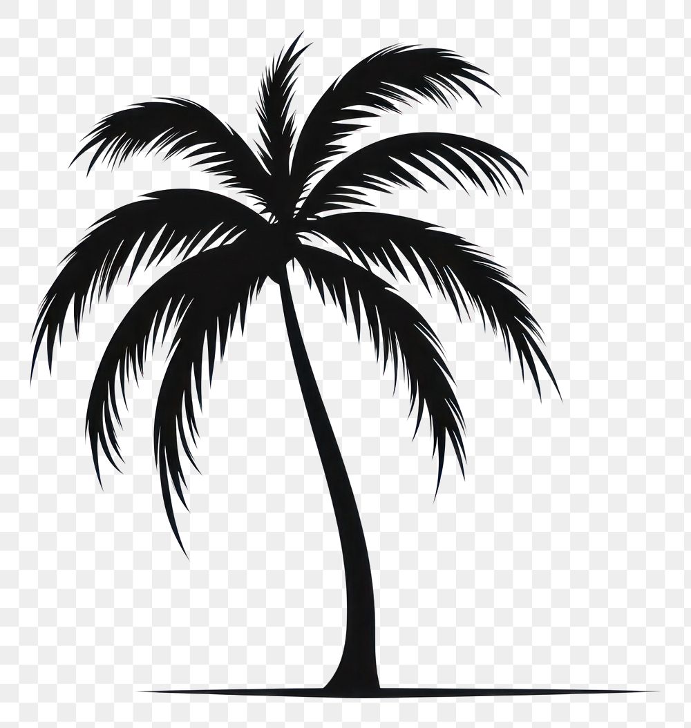 PNG  Palm tree silhouette arecaceae bonfire.