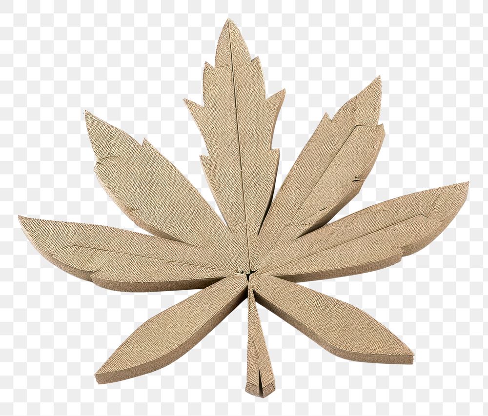 PNG Weed paper transportation accessories.