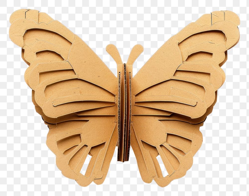 PNG Butterfly cardboard butterfly invertebrate.