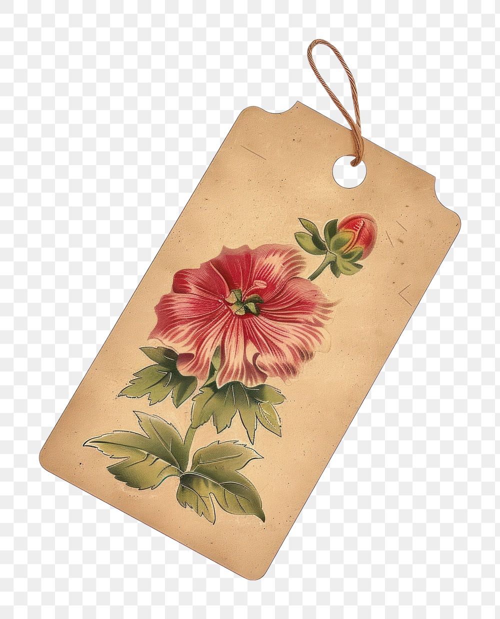 PNG Flower in label accessories accessory blossom.