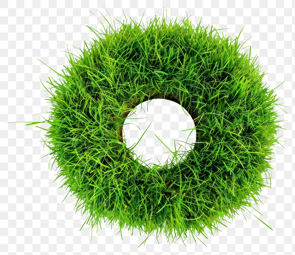 PNG Torus shape lawn grass green football.