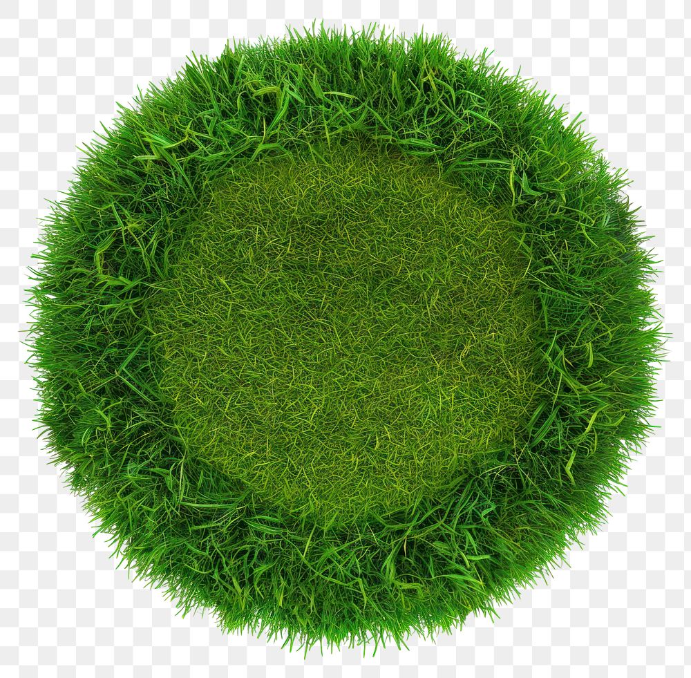 PNG Ring shape lawn green grass plant.
