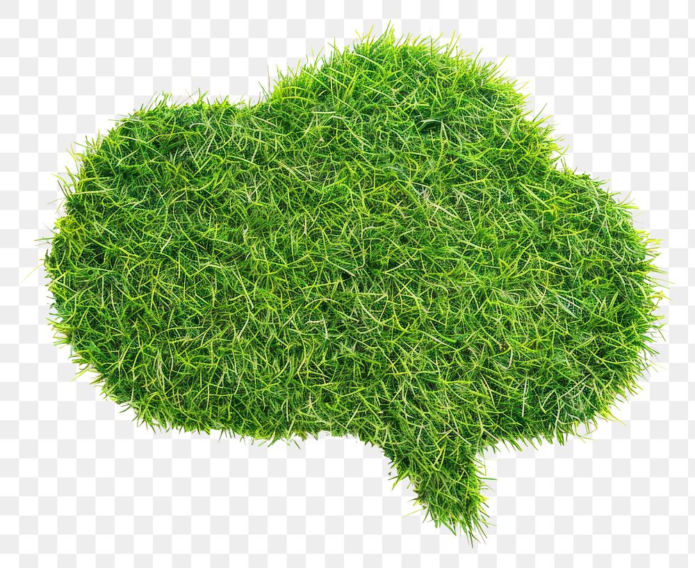 PNG Speech bubble box shape lawn nature grass seasoning.