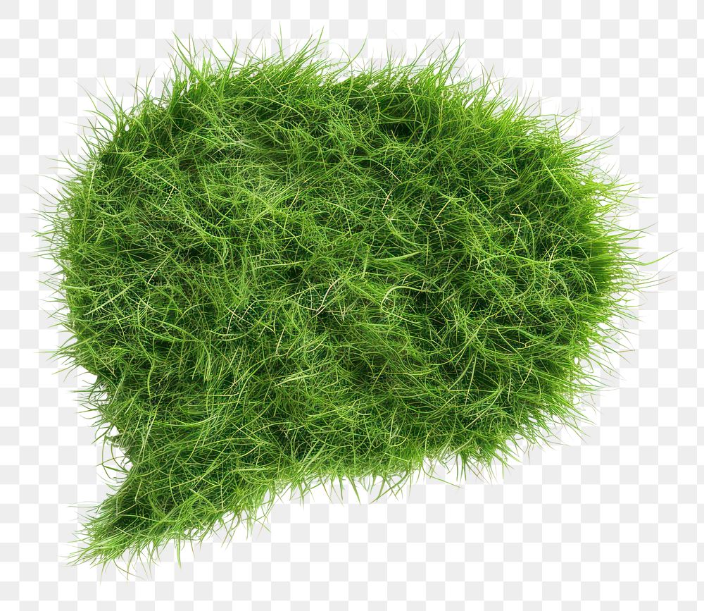 PNG Speech bubble shape grass seasoning plant food
