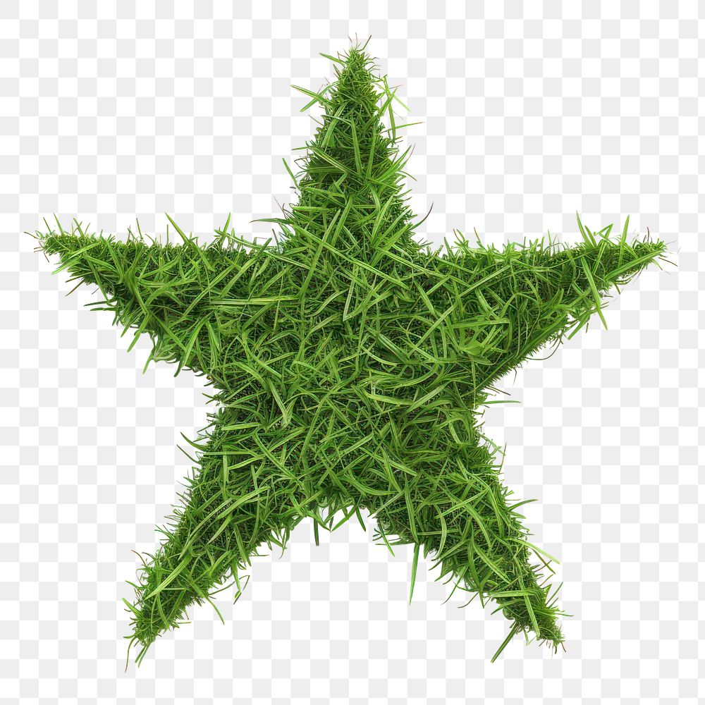 PNG Star shape lawn symbol animal plant.