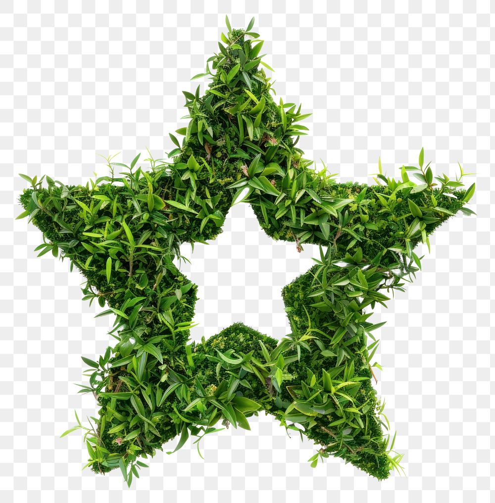 PNG Star shape lawn symbol green plant.
