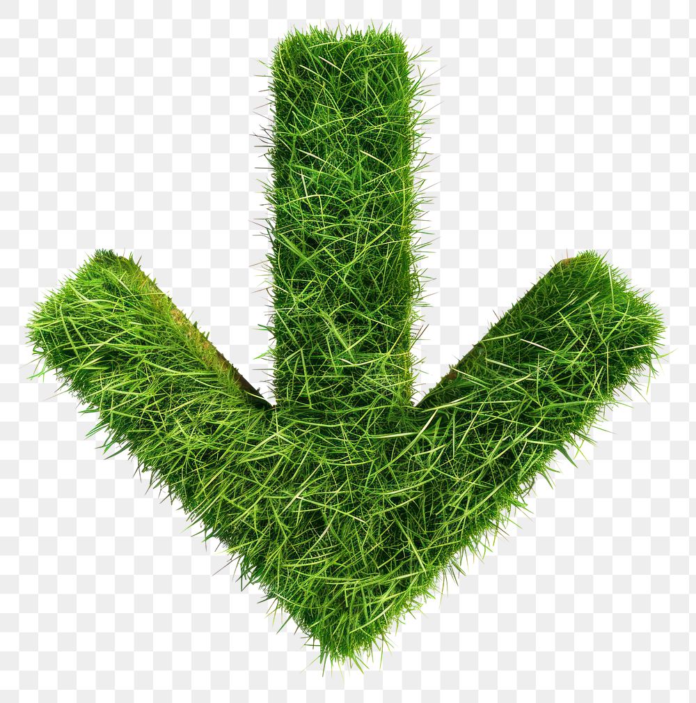 PNG Checkmark shape lawn grass plant moss.