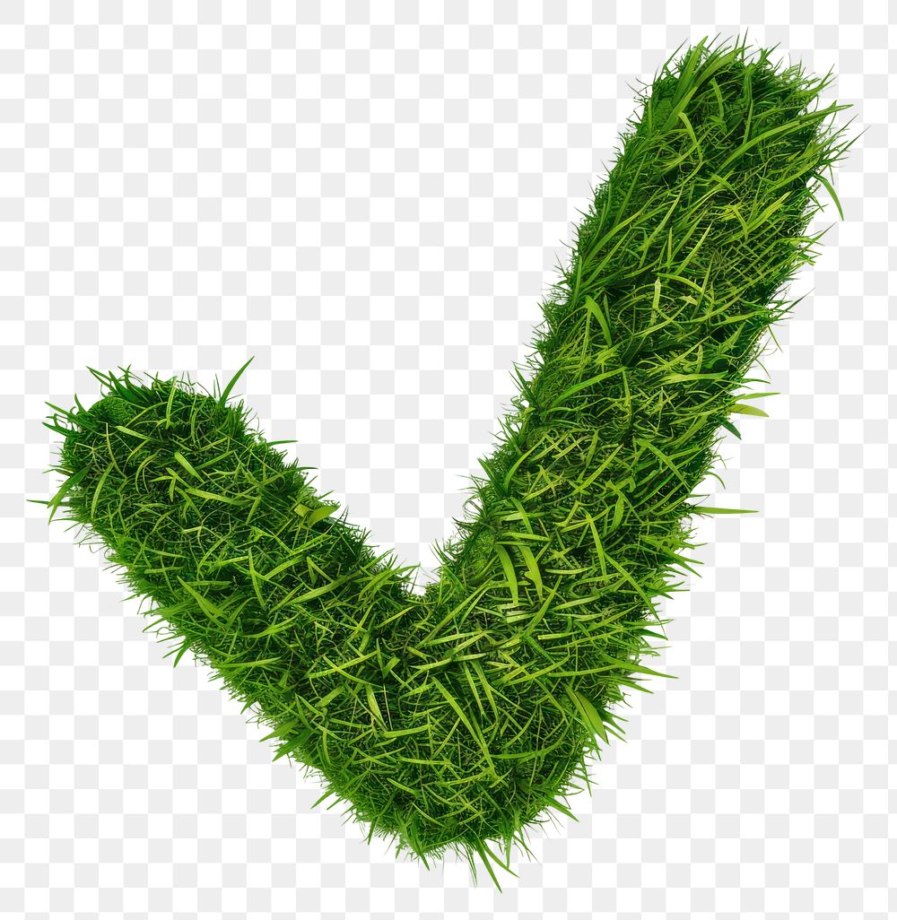 PNG Checkmark shape lawn grass green plant.
