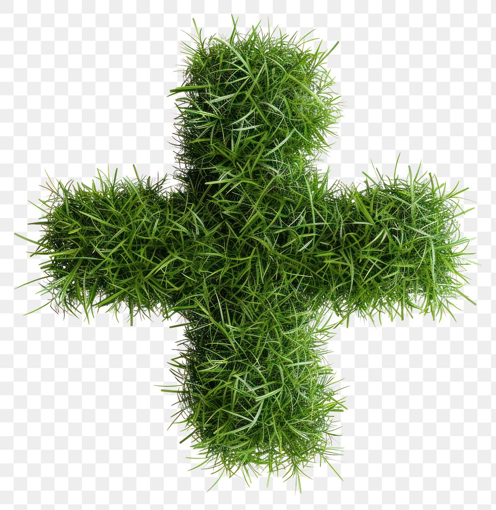 PNG Cross wrong shape grass symbol seasoning plant.