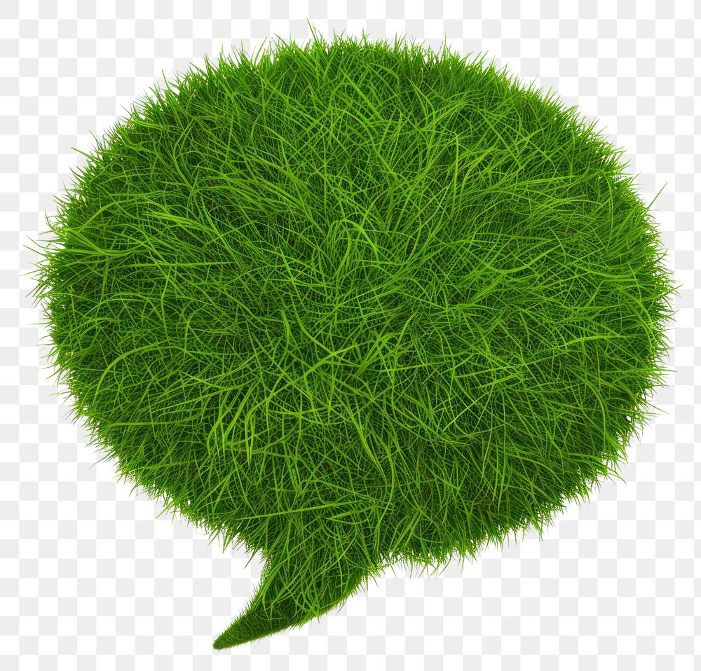 PNG Speech bubble shape grass seasoning plant moss.